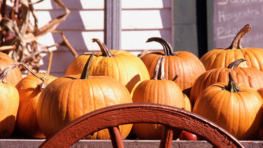 Halloween is Coming!