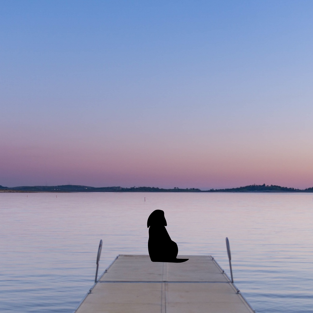 Precut glass shape of dog on dock at a lake.