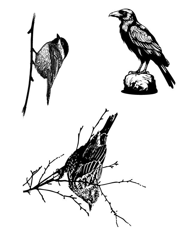Woodland birds silk screen stencil set featuring ravens and detailed bird illustrations for fused glass and ceramic projects