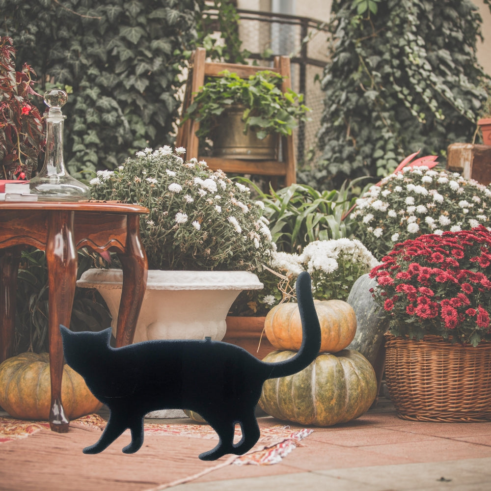 Precut glass shape of Black Cat.