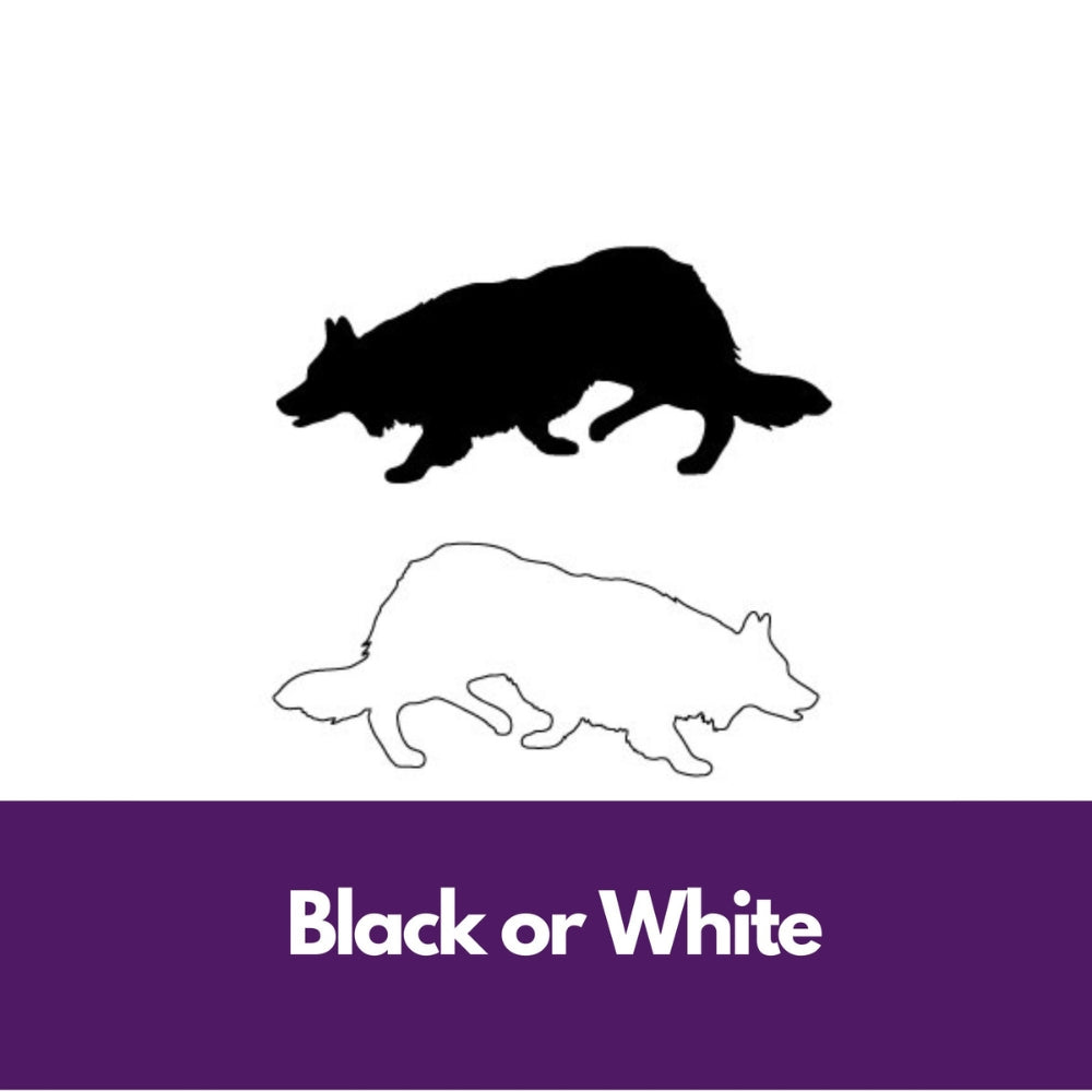 Precut glass shape of Border Collie dog.