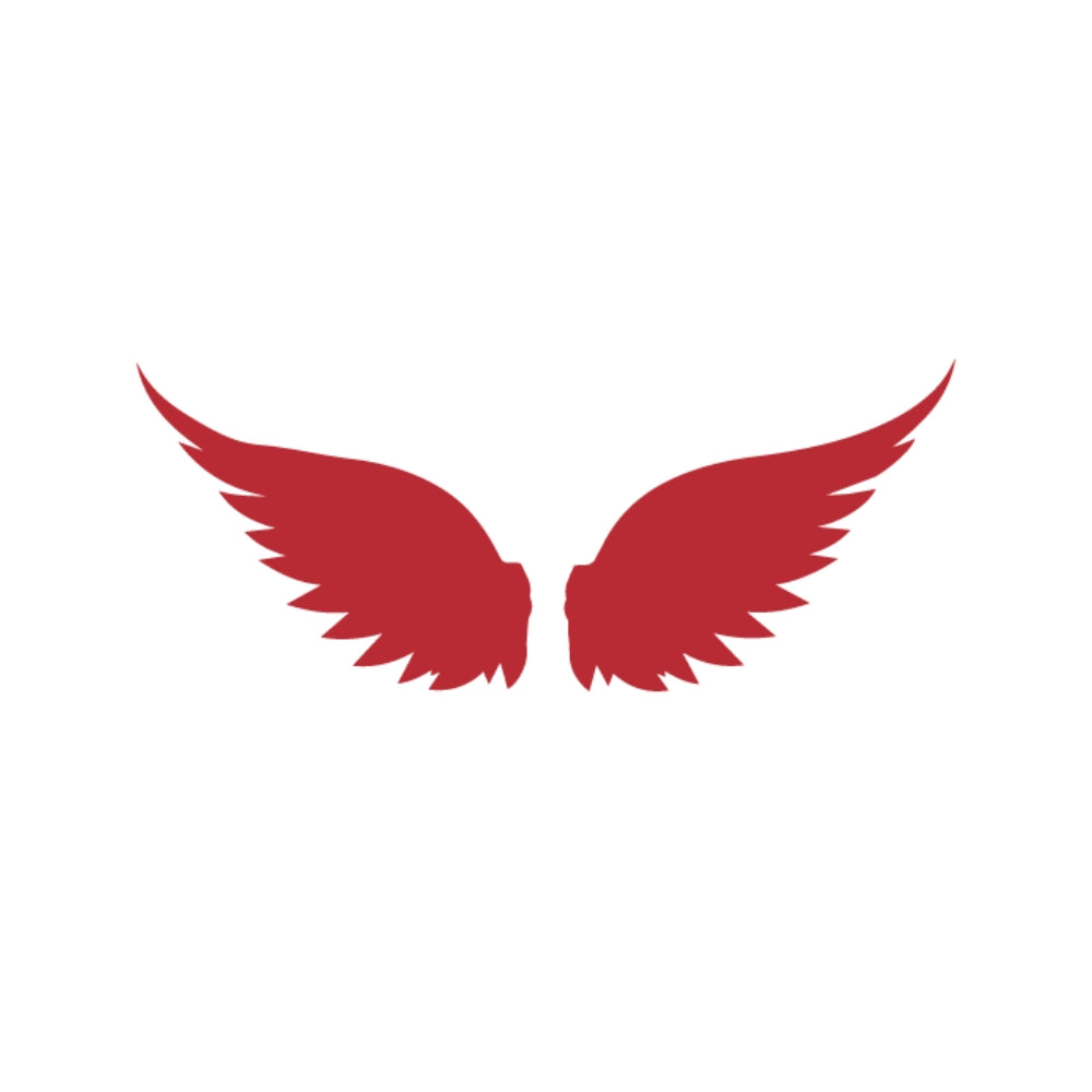 Angel Wings Precut Glass Shape - COE 96