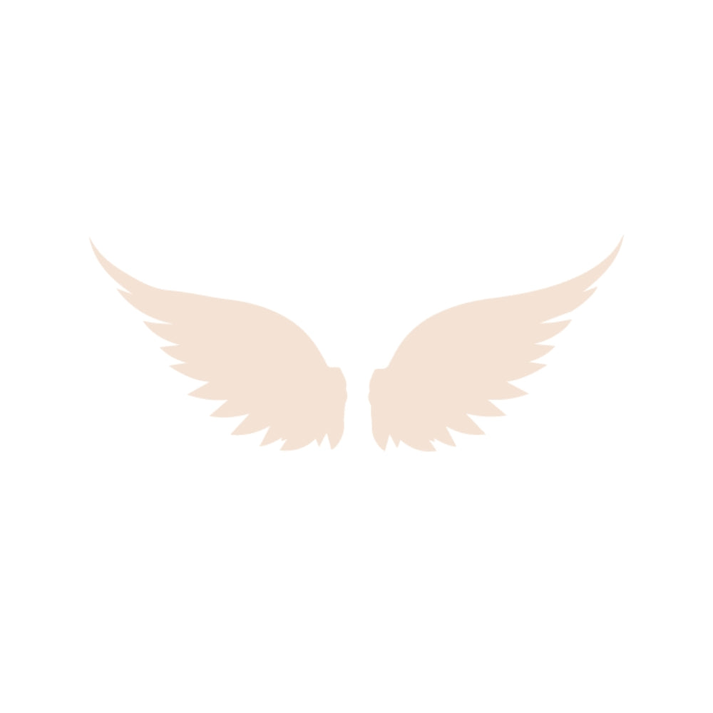 Angel Wings Precut Glass Shape - COE 96