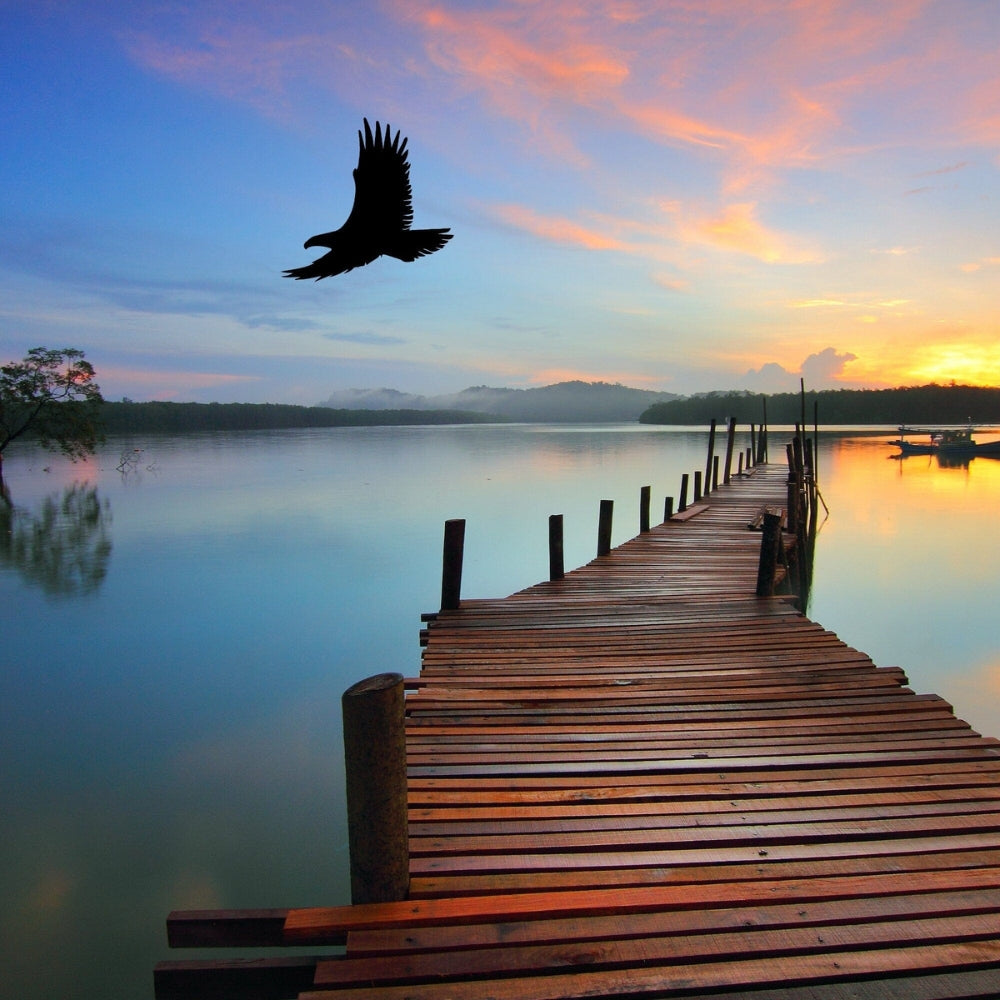 Precut glass shape of eagle soaring over lake.