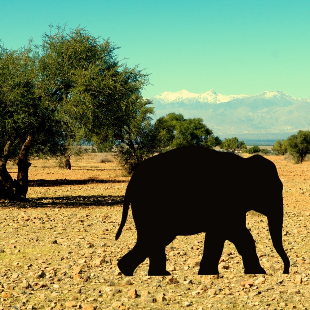 Precut glass shape of elephant.
