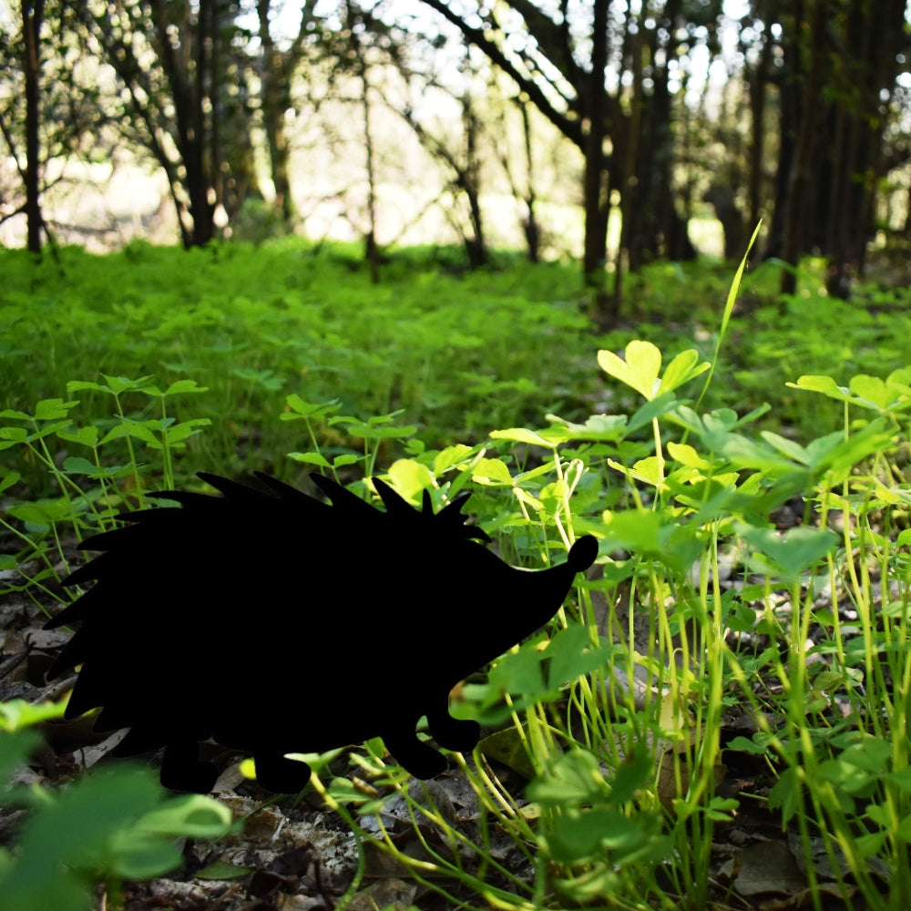 Precut glass shape of hedgehog in field.