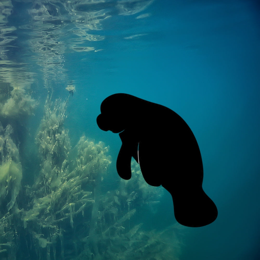 Precut glass shape of a manatee.
