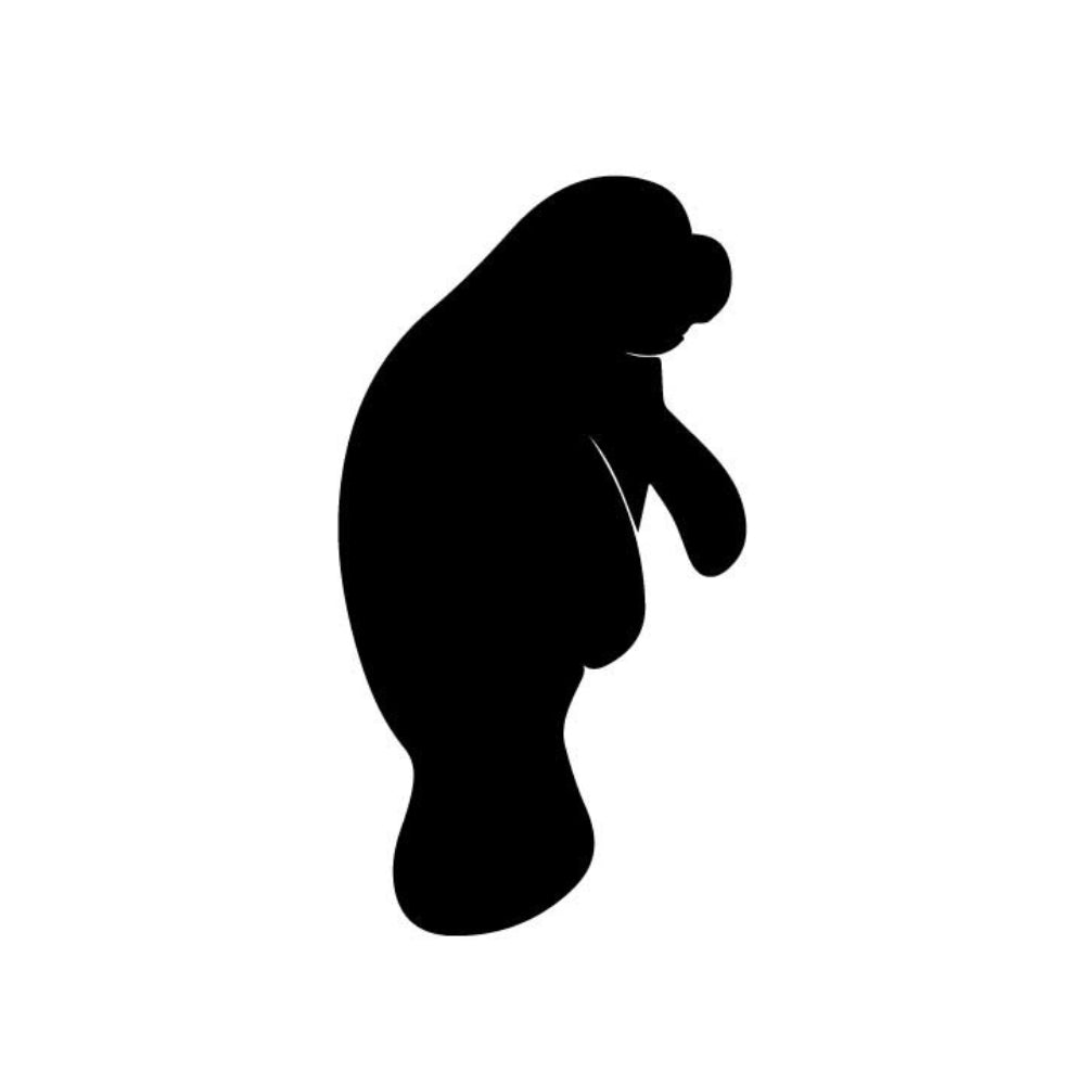 Precut glass shape of a manatee.