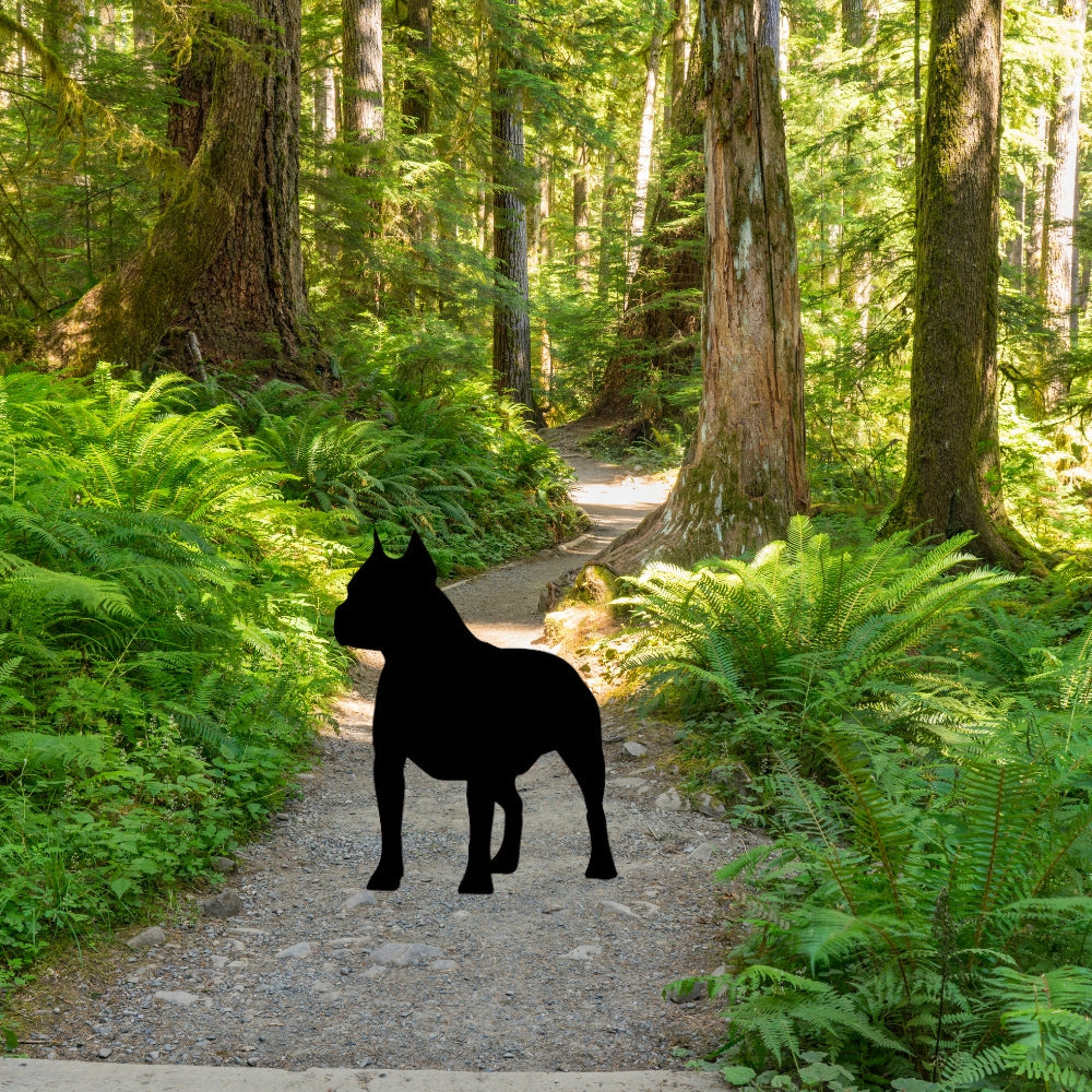 Precut glass shape of Pitbull #2 on a hiking trail.