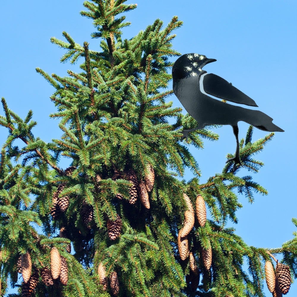 Precut glass shape of a raven in black glass.