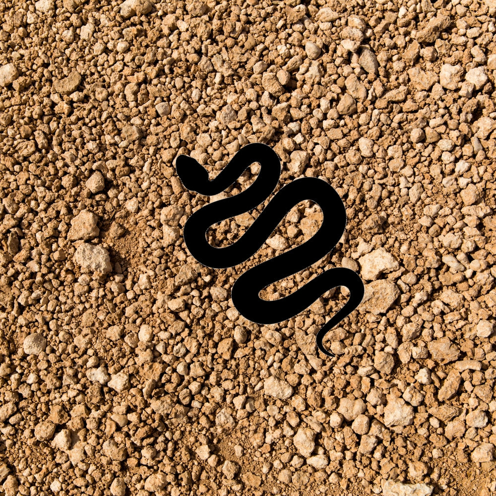 Precut glass shape of a snake in black slithering over rocks.