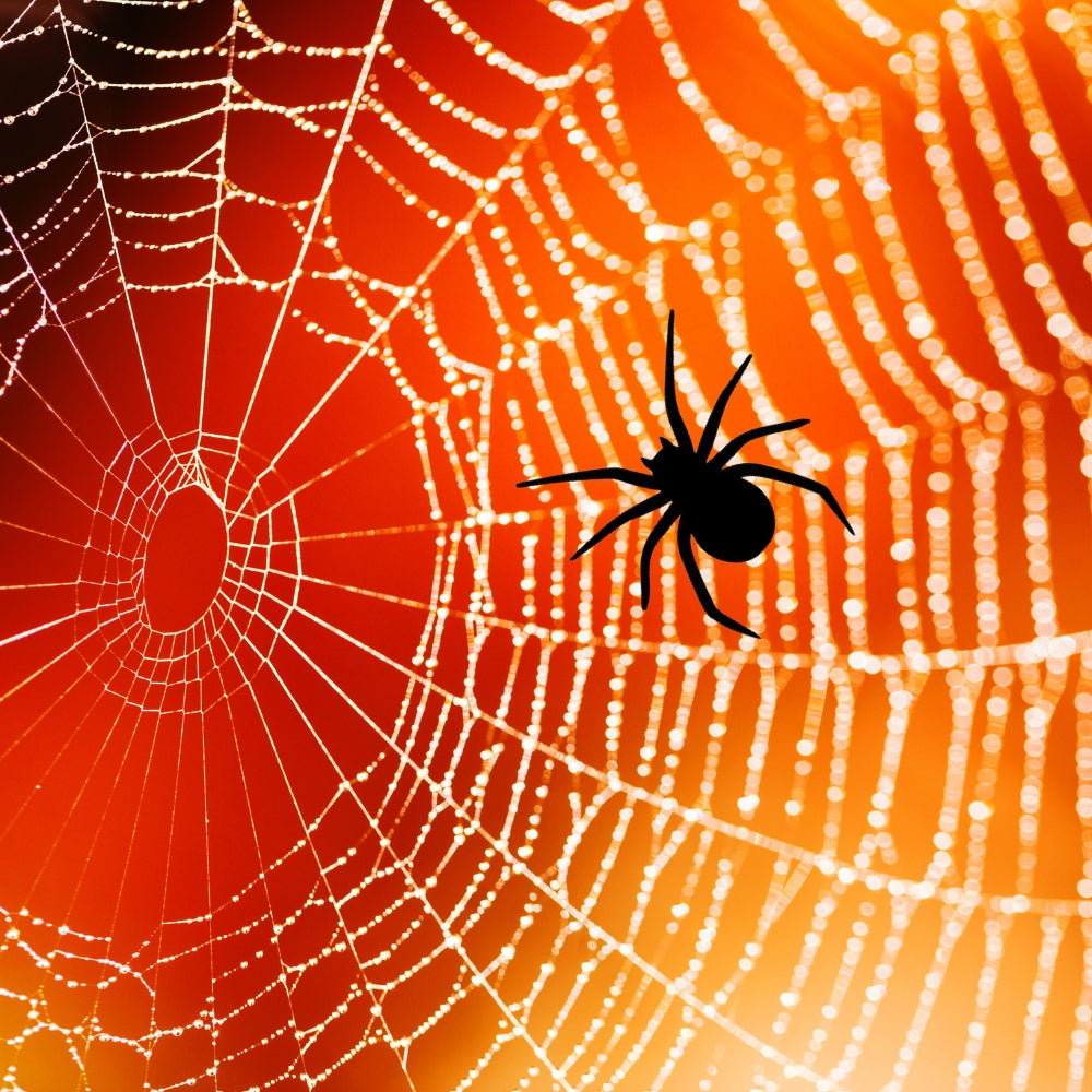 Precut glass shape of a spider on a web.