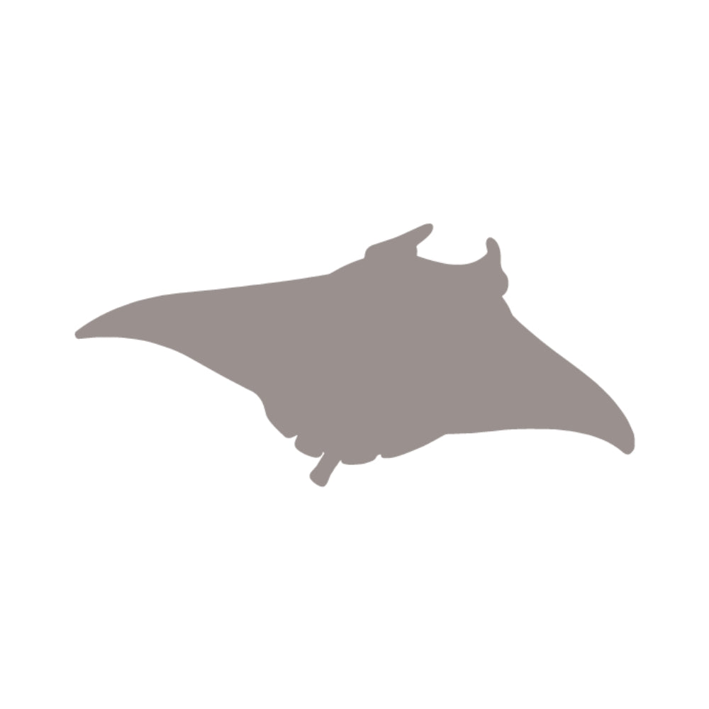 Stingray Precut Glass Shape - COE 96