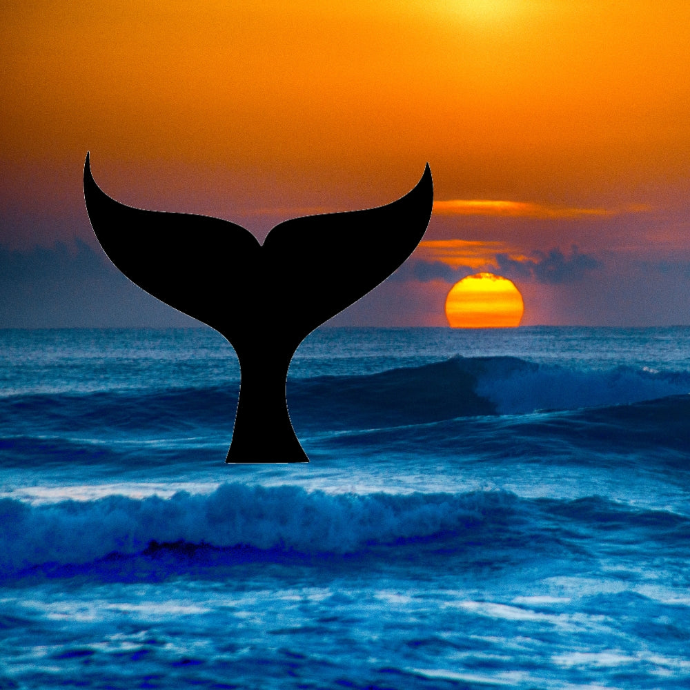 Precut glass shape of a whale tail in the ocean.