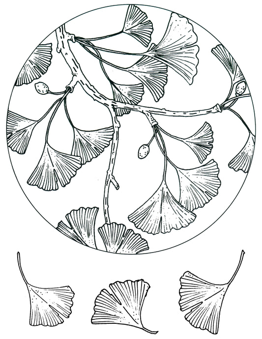 Ginkgo Leaf Circle screen print by Mark Hufford β round botanical fused glass design with individual ginkgo leaves