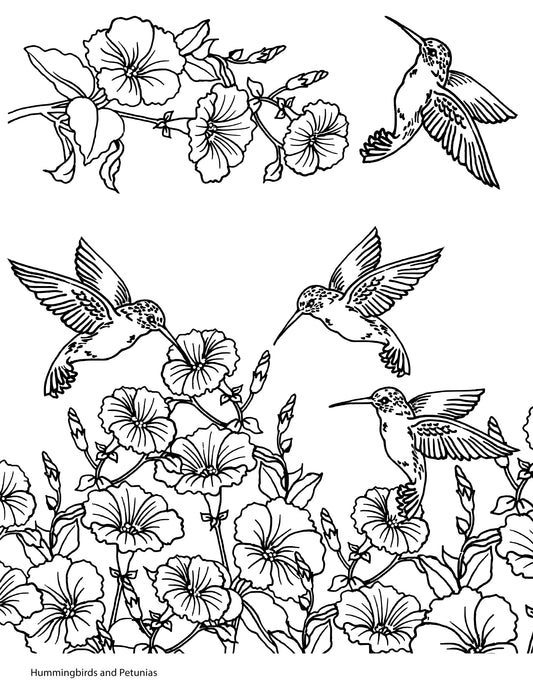 Hummingbirds and Petunias screen print by Mark Hufford β 8x10 hand-drawn floral and bird design for fused glass and enamel painting