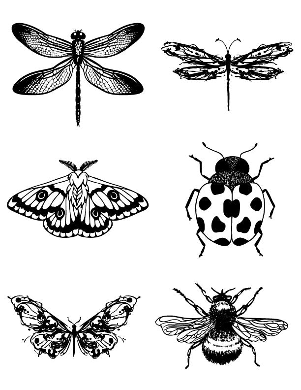 Insect Silk Screen Stencil – Small Nature-Inspired Designs for Glass & Ceramics