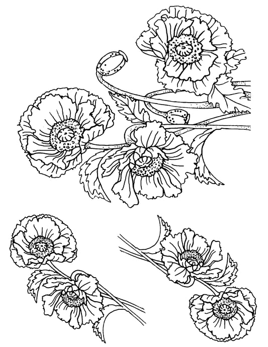 Poppies screen print by Mark Hufford β botanical fused glass stencil with floral cluster and stems (8.5x11)