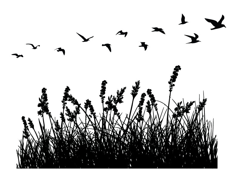 Sea grass and flying birds silk screen stencil for fused glass and print making designs.