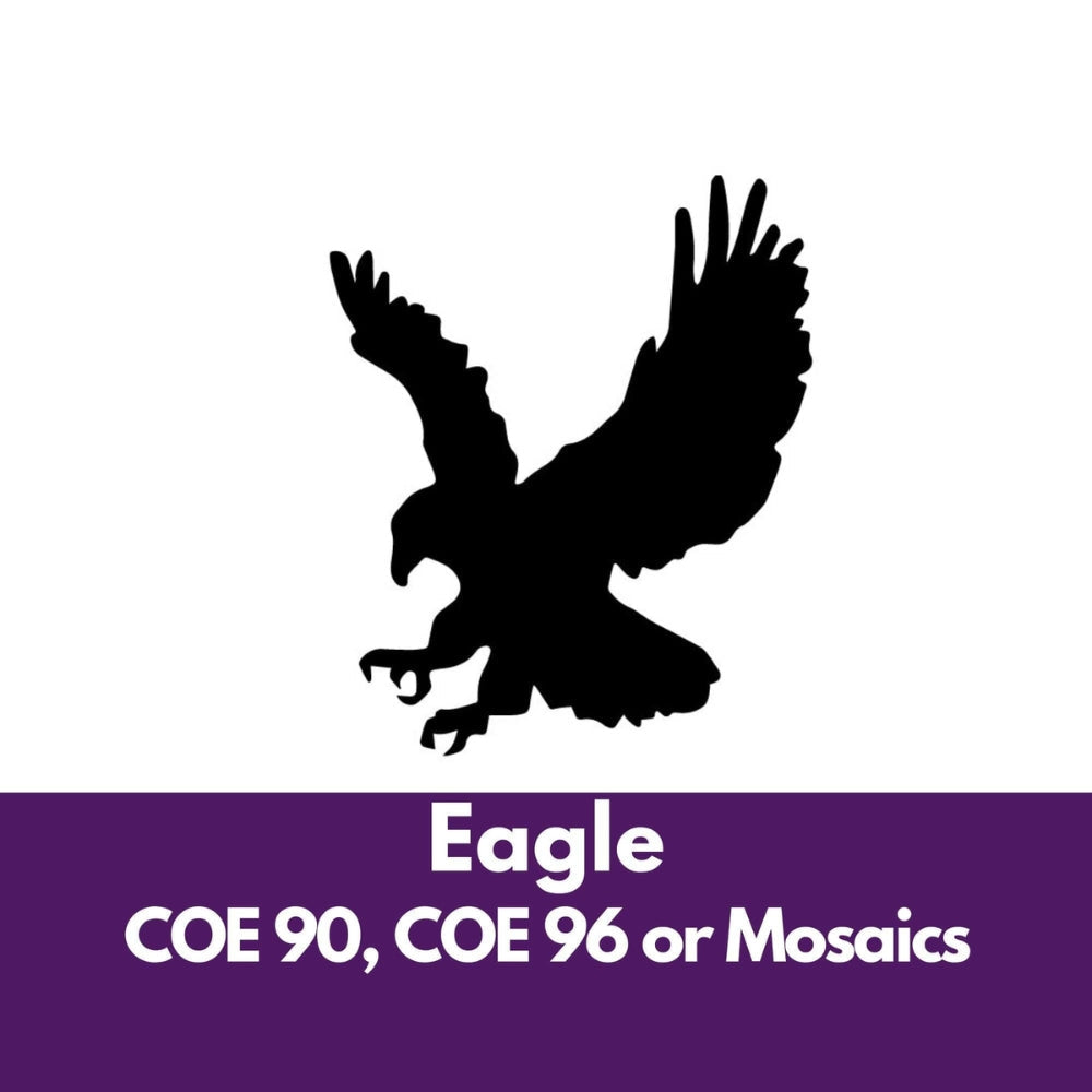 Precut glass in shape of attacking eagle