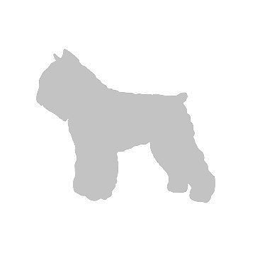 Bouvier Dog Precut Glass Shape - COE 96