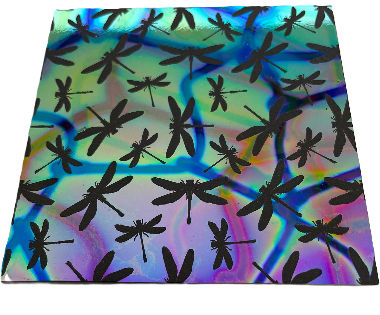 dragonfly silhouettes etched on dichroic glass