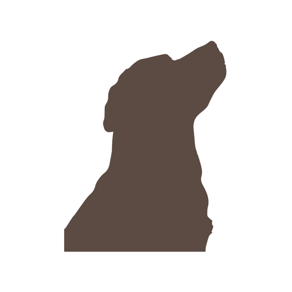 Precut Glass Shape - Labrador Retriever - COE 96