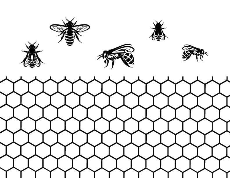 Fuse Muse Fused Glass Bees and Honeycomb Silk Screen Stencil