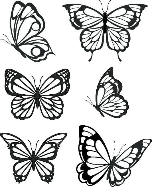 Butterflies Silk Screen