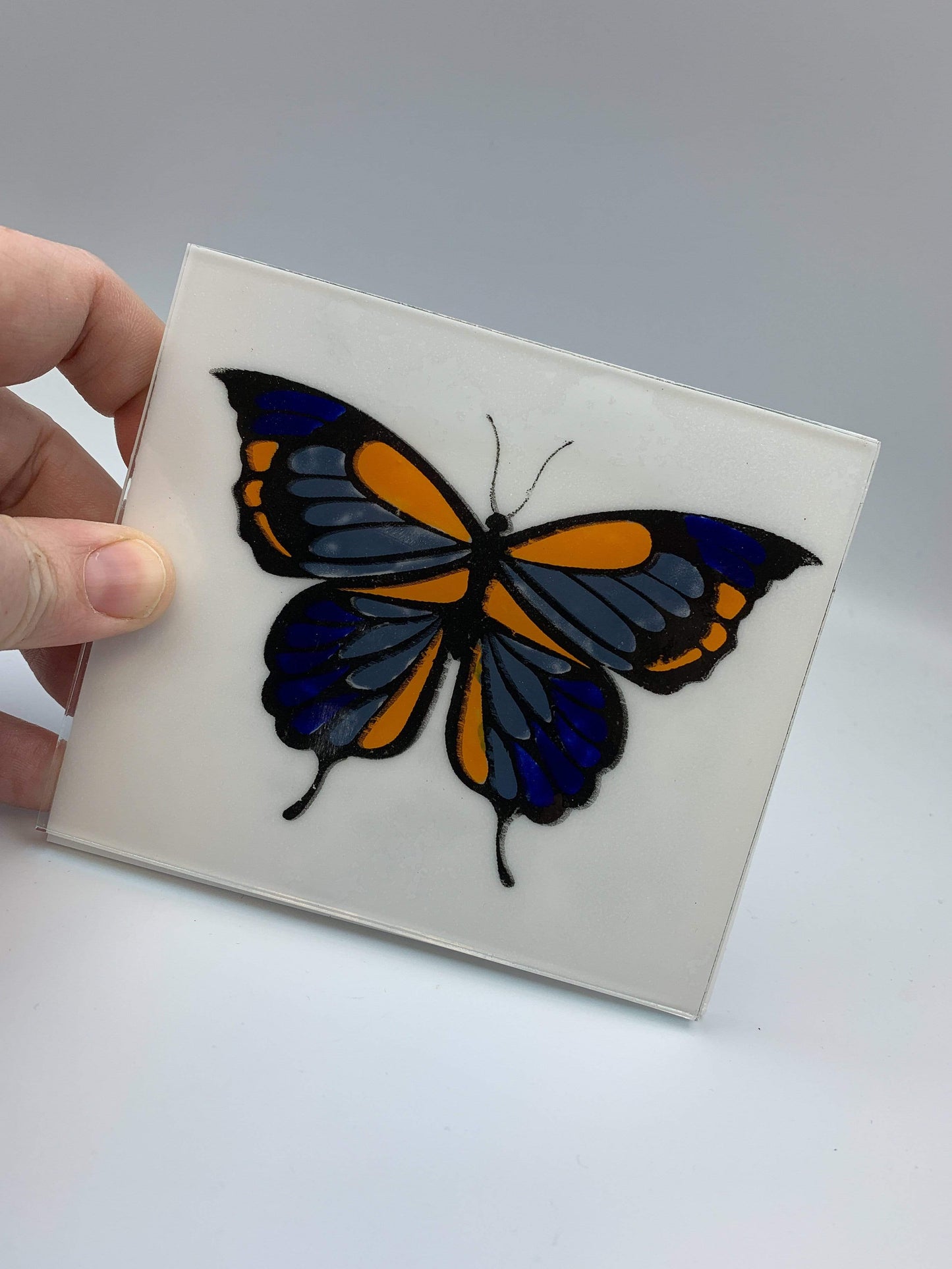 Butterflies Silk Screen