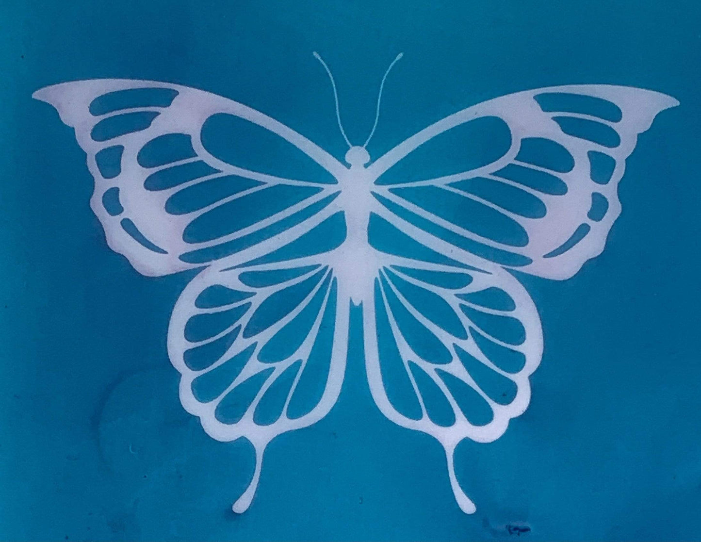 Butterflies Silk Screen
