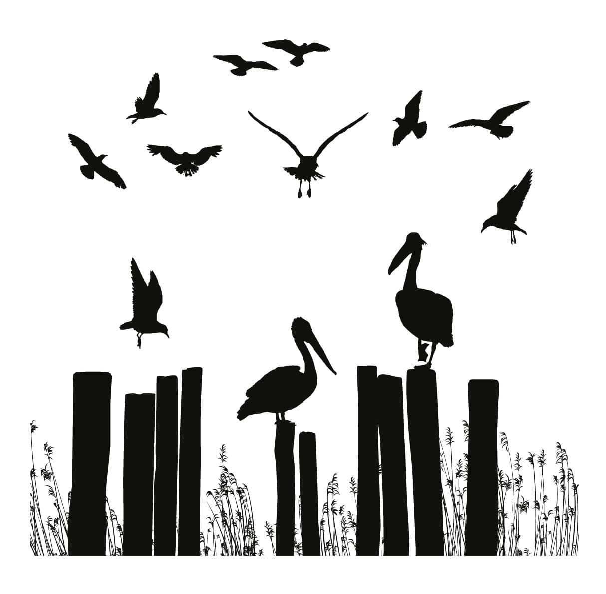 Pelicans Silk Screen