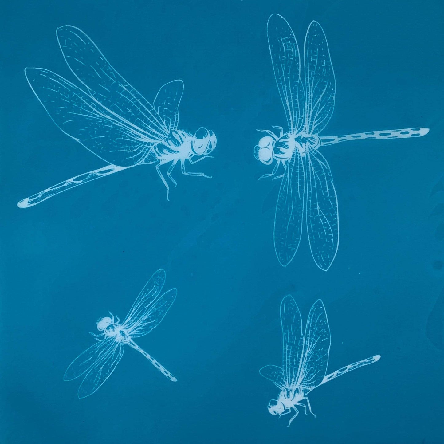 Dragonflies Silk Screen
