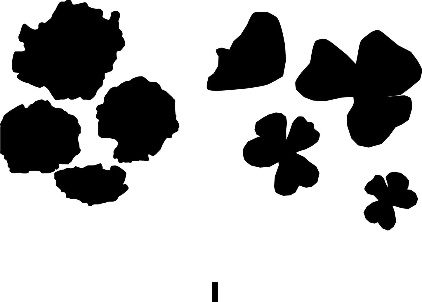 Flowers Silk Screen