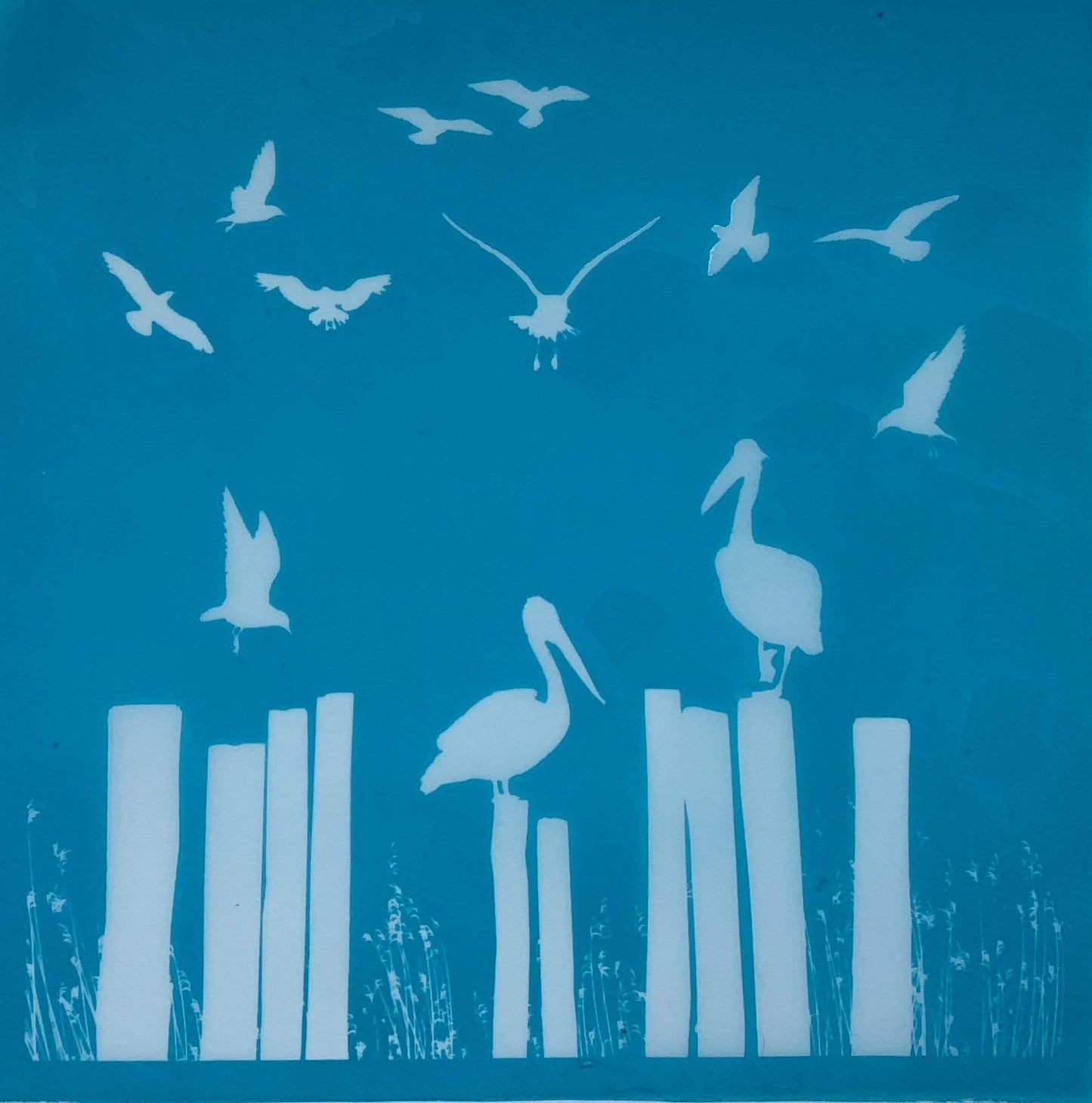 Pelicans Silk Screen
