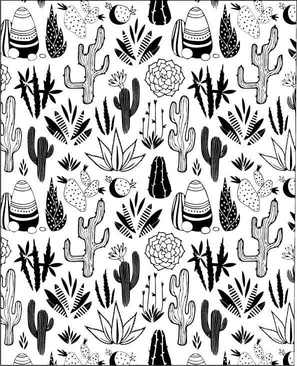 Succulents Silk Screen
