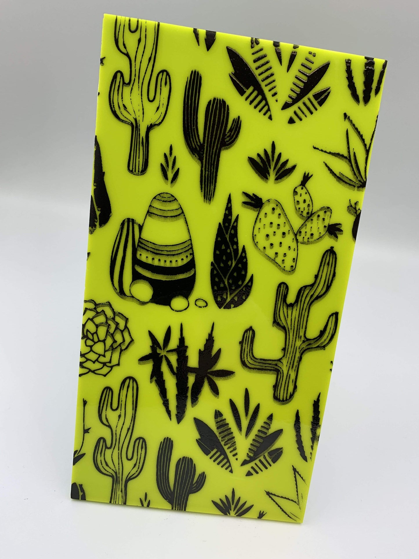 Succulents Silk Screen