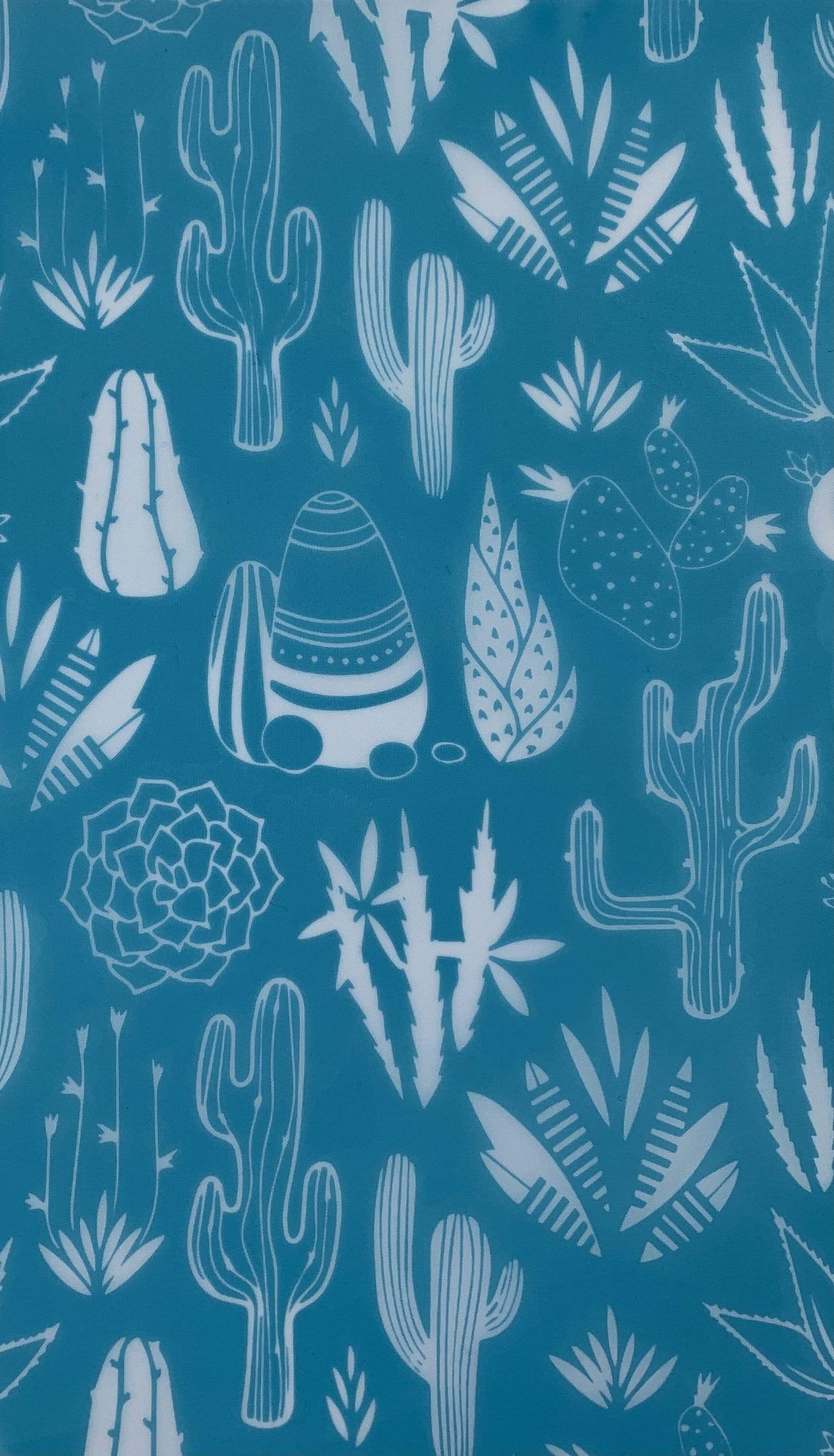 Succulents Silk Screen