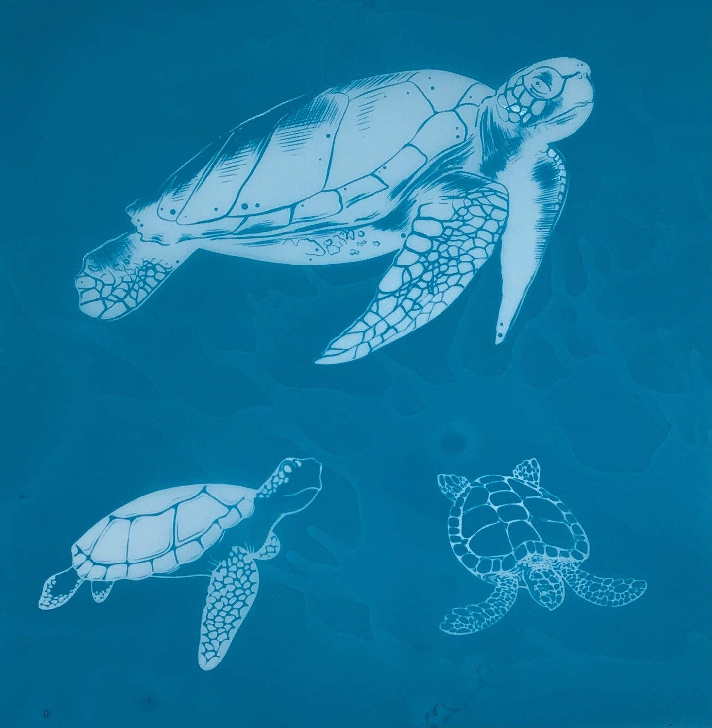 Turtles Silk Screen