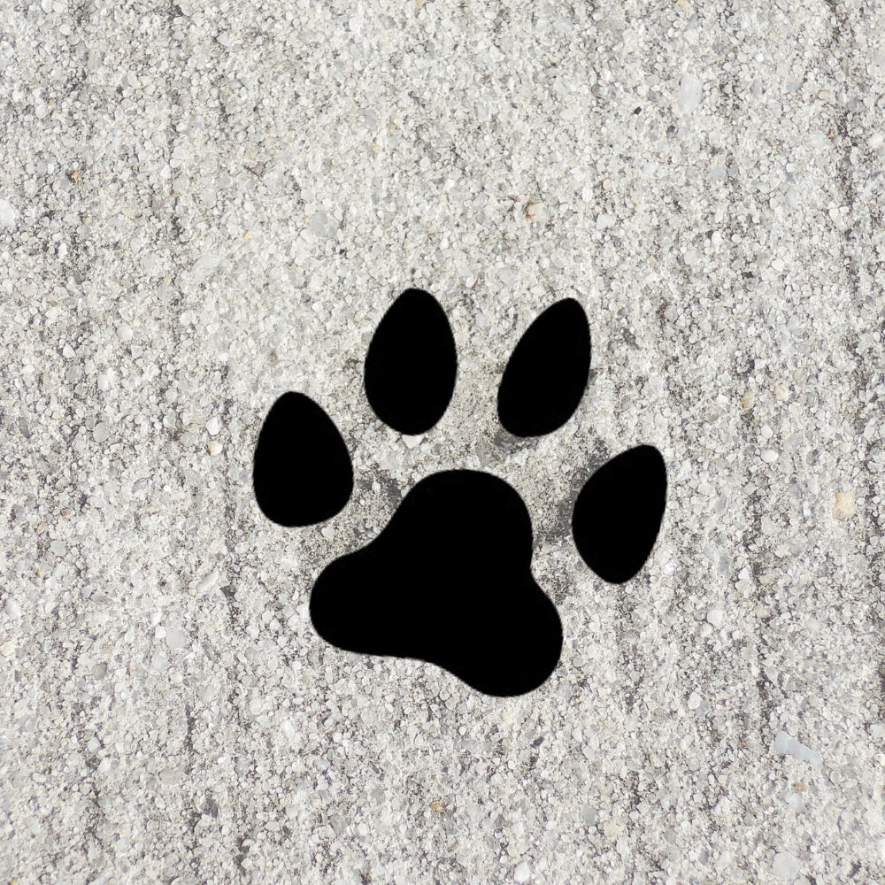 Dog Paw Print cut from Bullseye COE 90 Glass on a back ground of gray gravel or sand