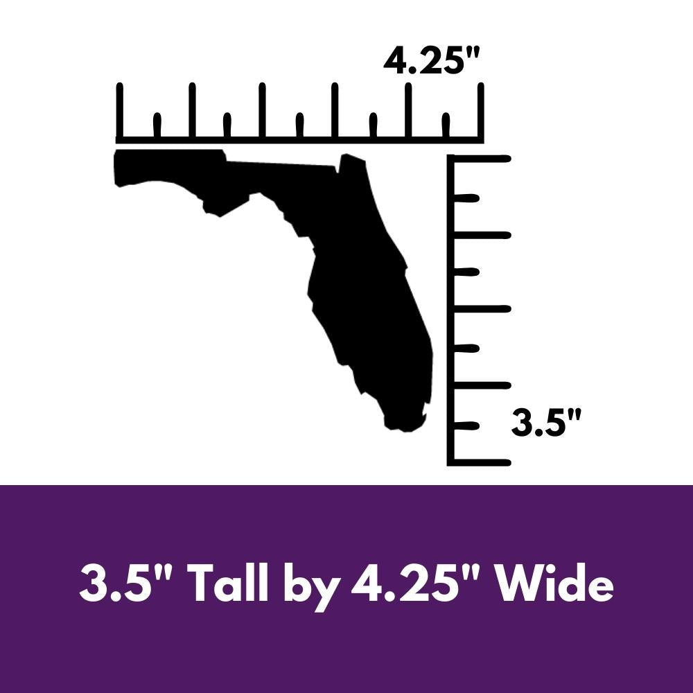 Precut glass shape of Florida showing size.