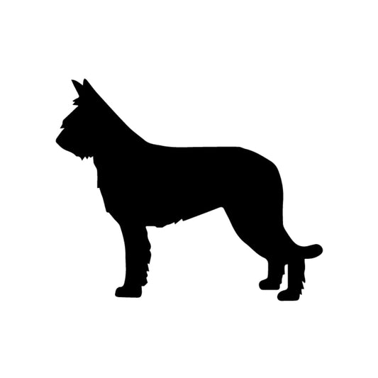 Precut glass shape of a berger picard dog in black.