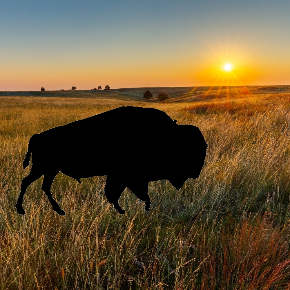 Buffalo precut glass shape in black grazing in a field.