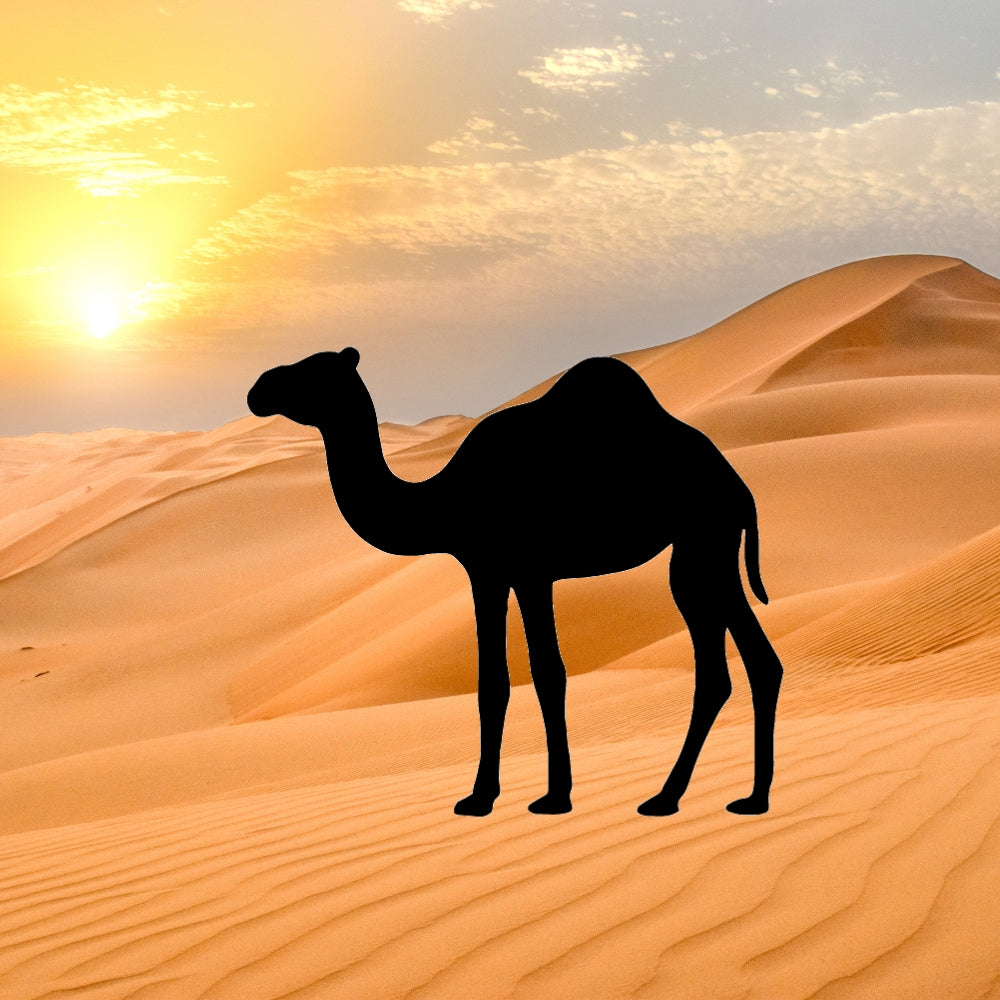 Precut glass shape of a camel in the desert.