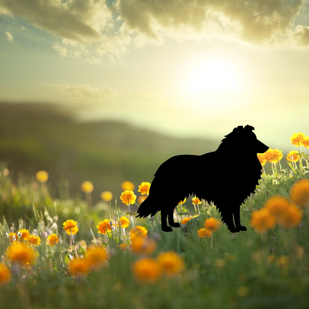 Precut glass shape of collie dog in field.