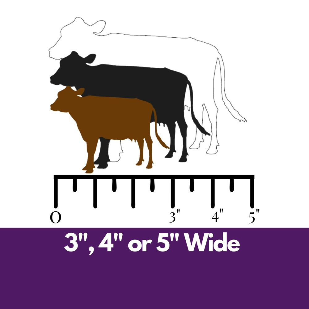 Precut glass shape of cow in alternate sizes.