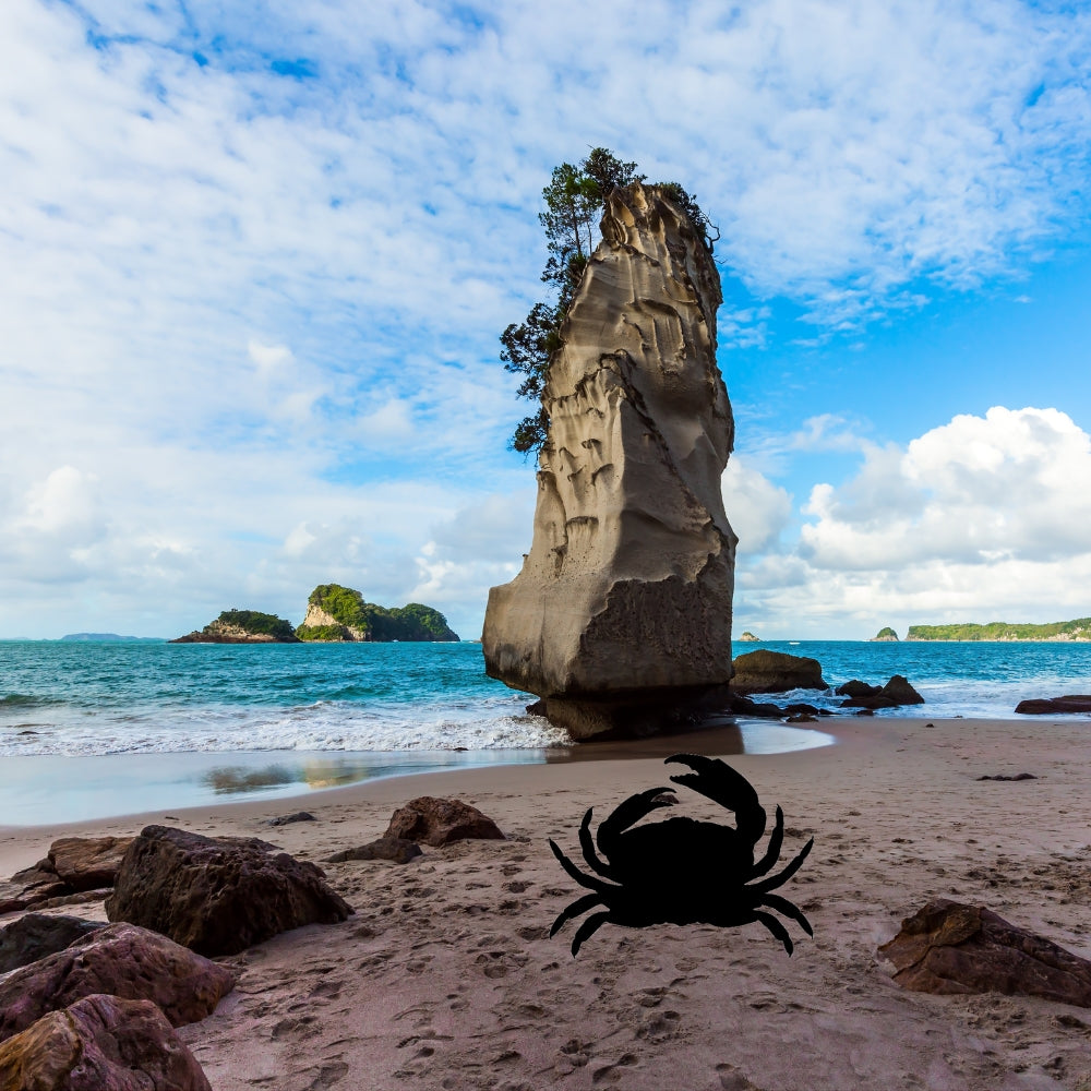 Precut glass shape of a crab on the beach.