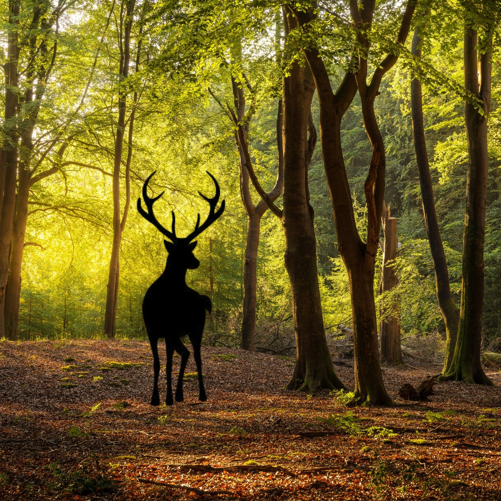 Precut glass shape of Deer #2 in forest.