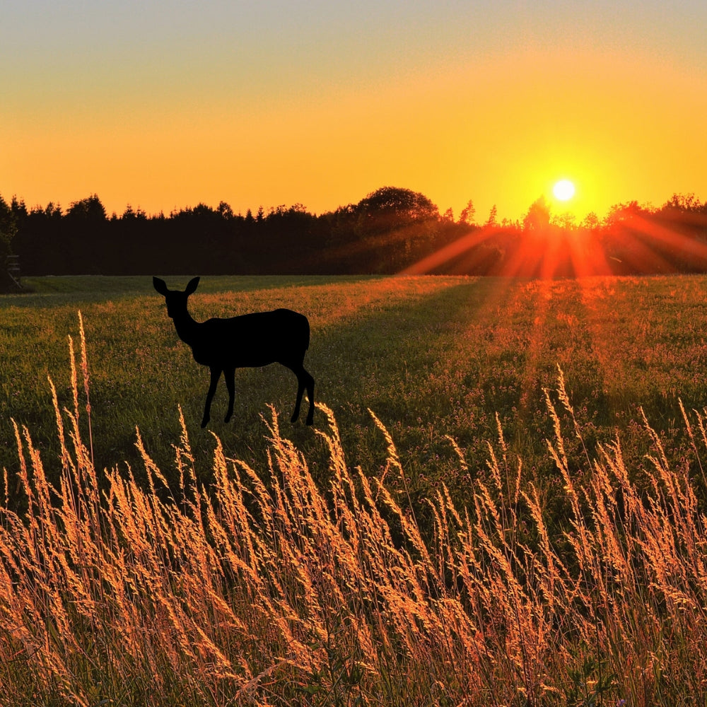 Precut glass shape of doe deer in field.