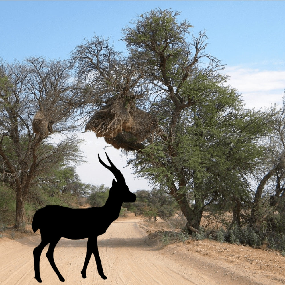 Precut glass shape of gazelle on a dirt road.
